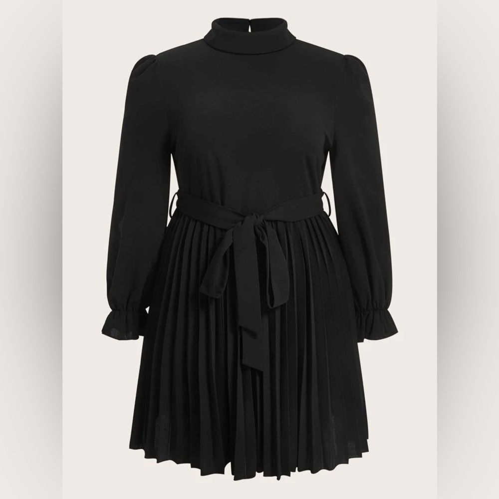 Brand New! Privé Plus Mock Neck Flounce Sleeve Pleated Hem Belted Dress
